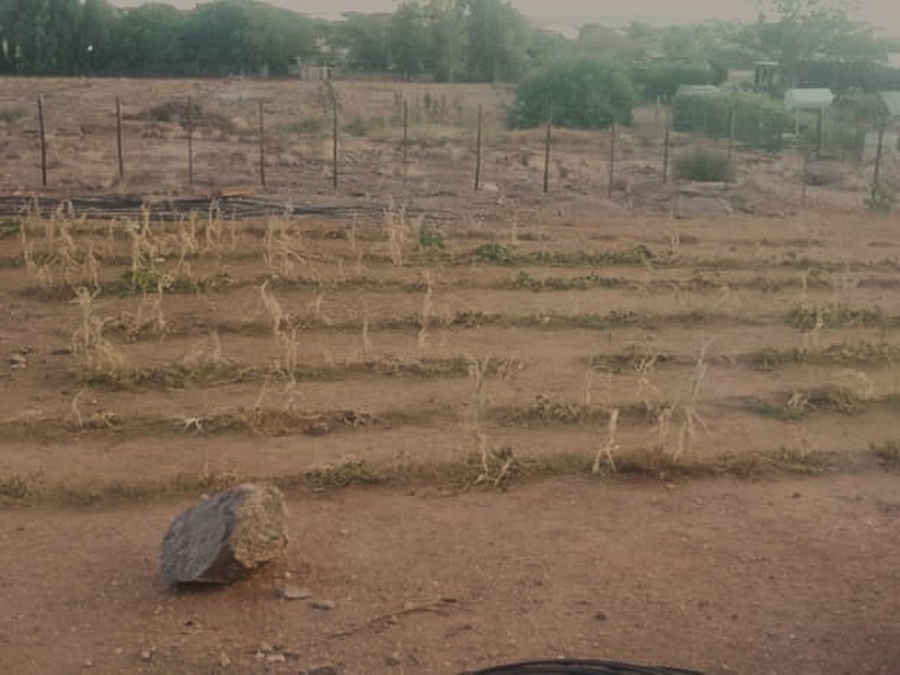 3 Bedroom Property for Sale in Augrabies Northern Cape